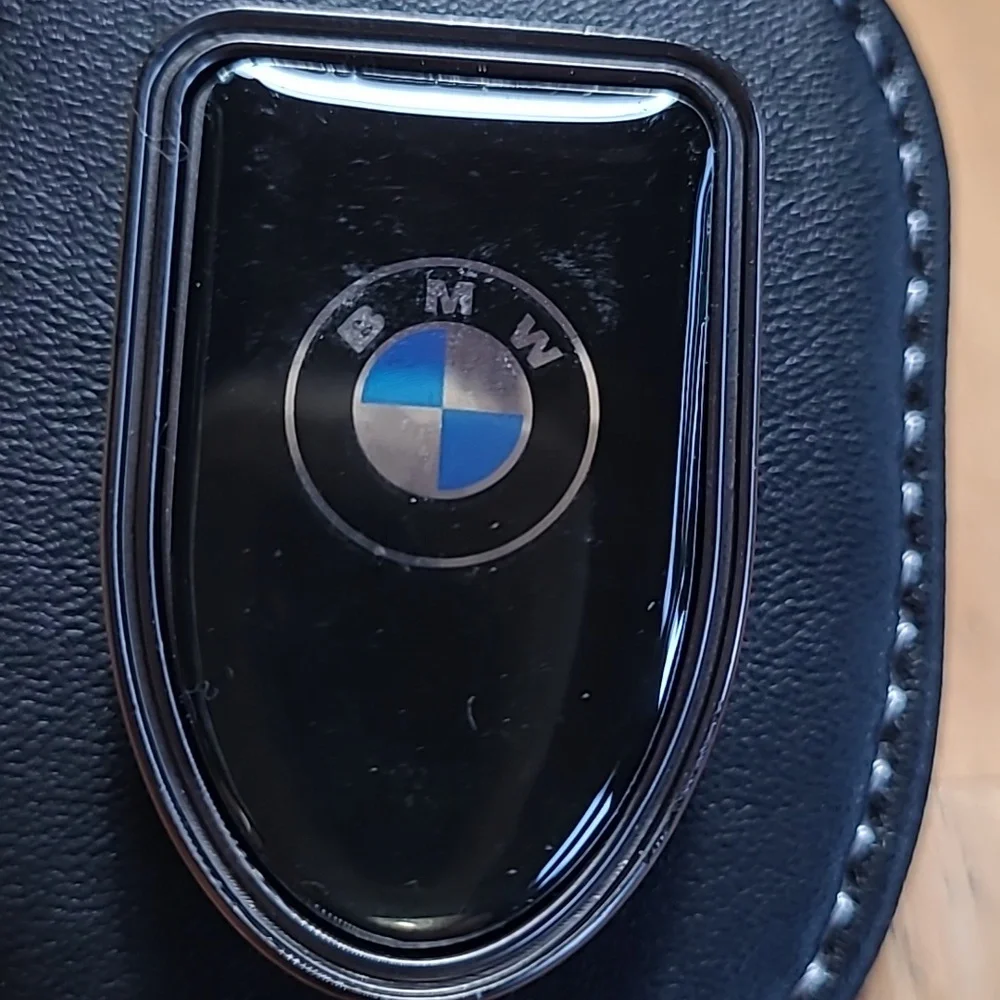 BMW Black Leather Sunglasses Holster (103)